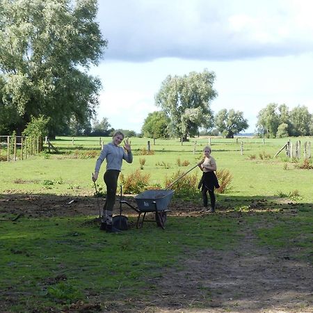 Gross KordshagenHof Thomsenアパートメント エクステリア 写真