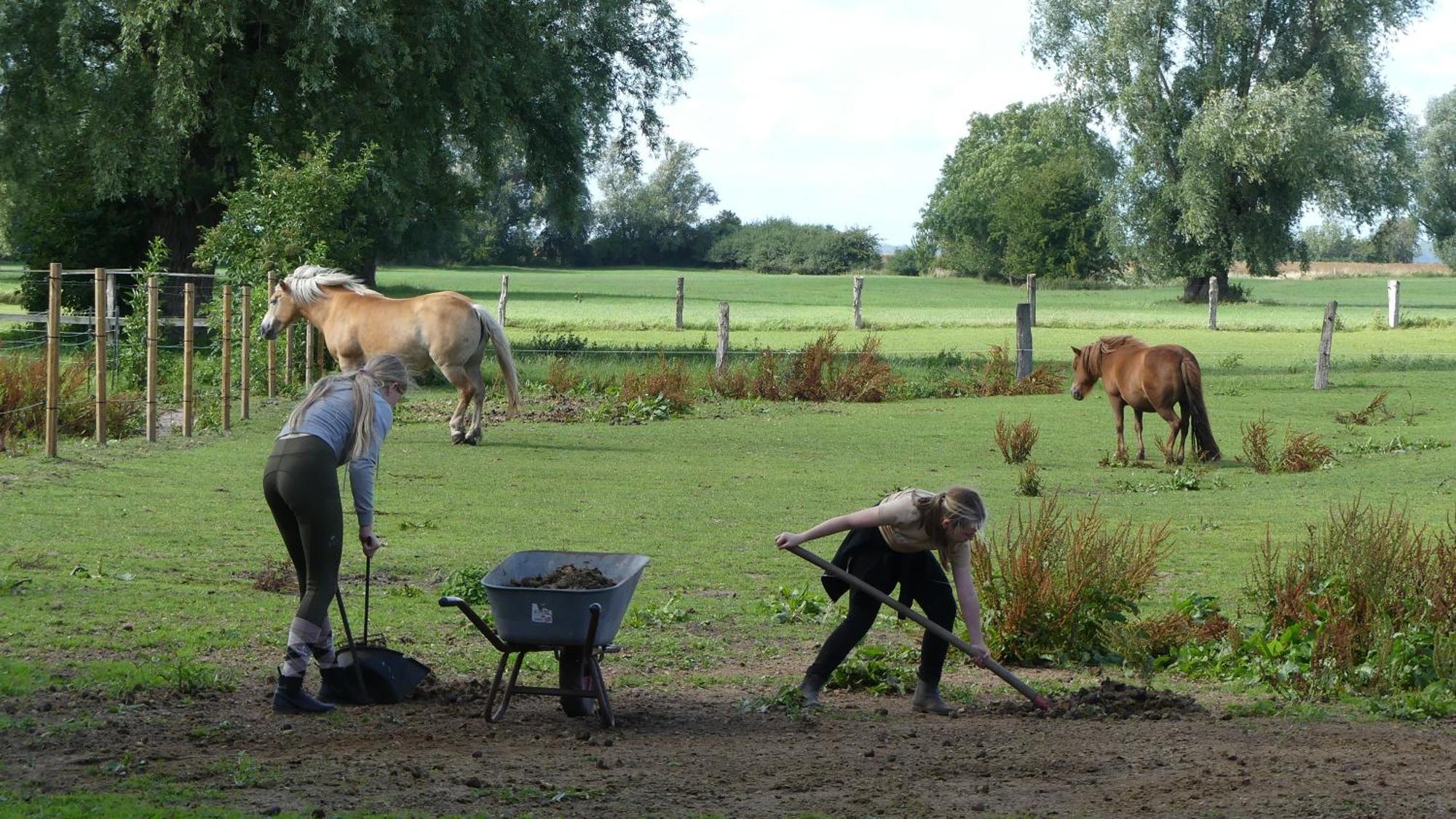 Gross KordshagenHof Thomsenアパートメント エクステリア 写真
